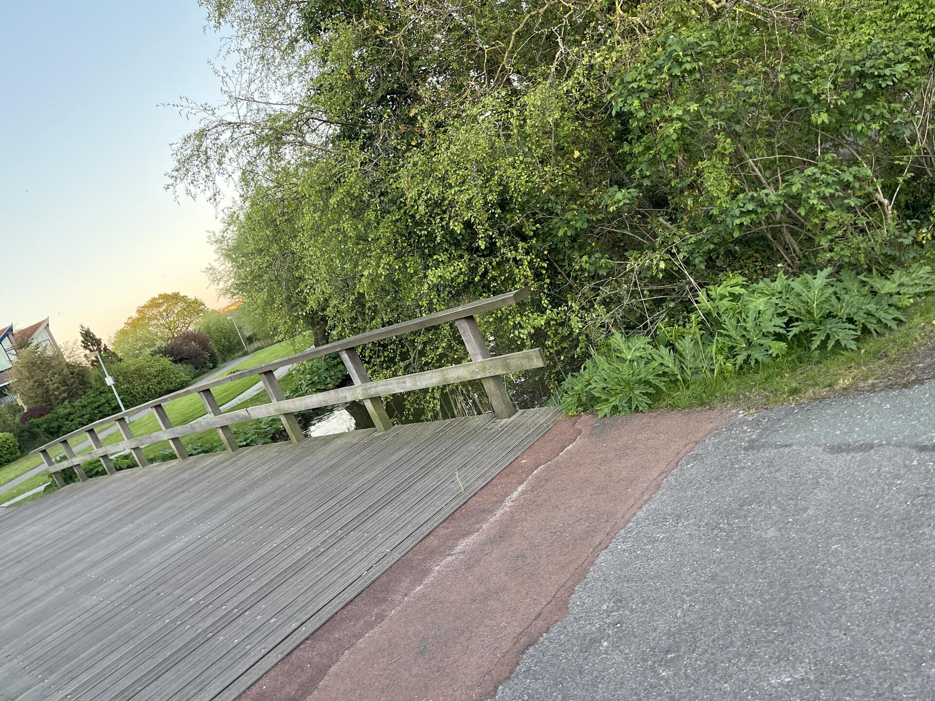 Foto bij melding 5060982 · Groenonderhoud