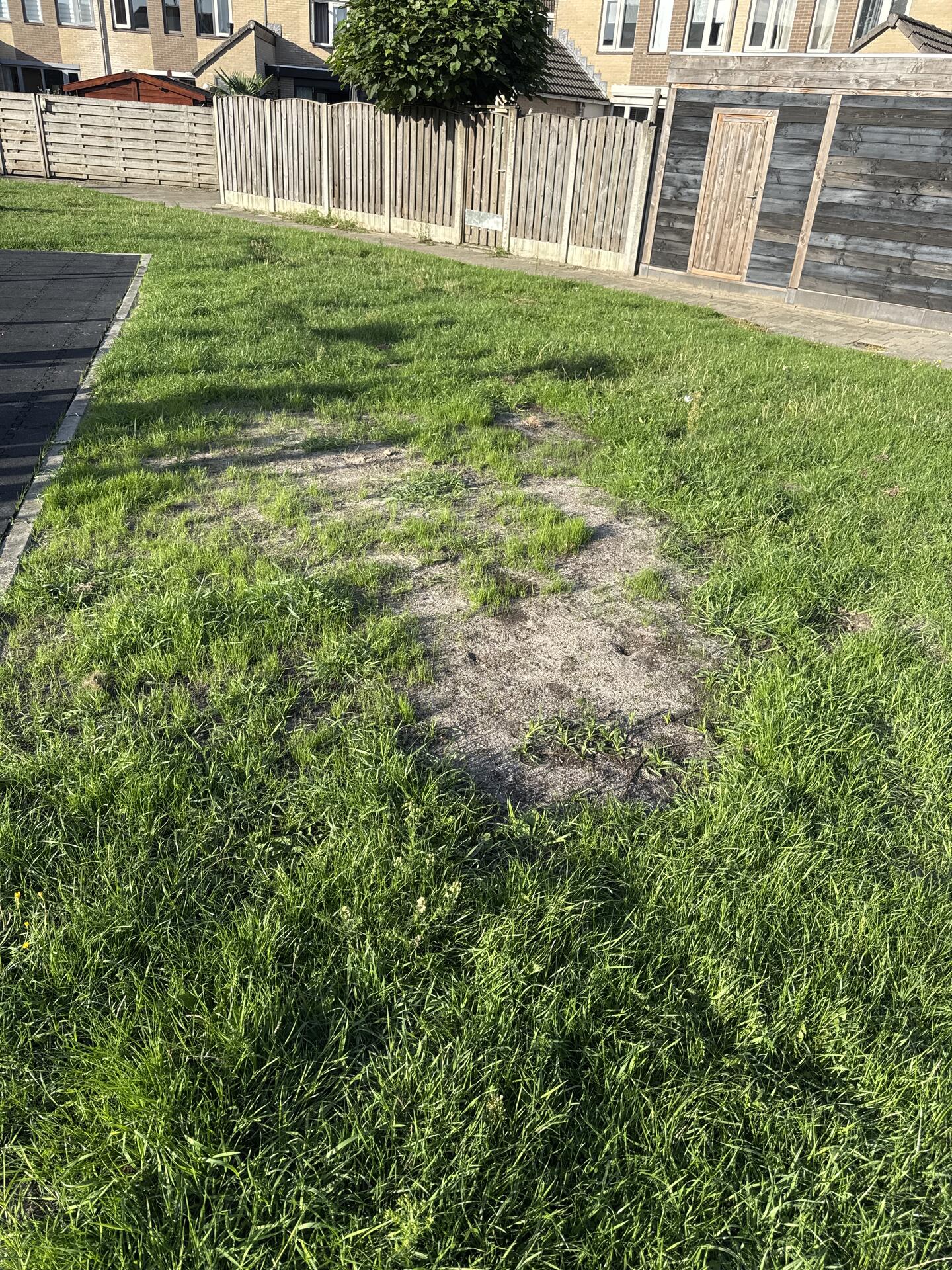 Foto bij melding 5549042 · Groenonderhoud
