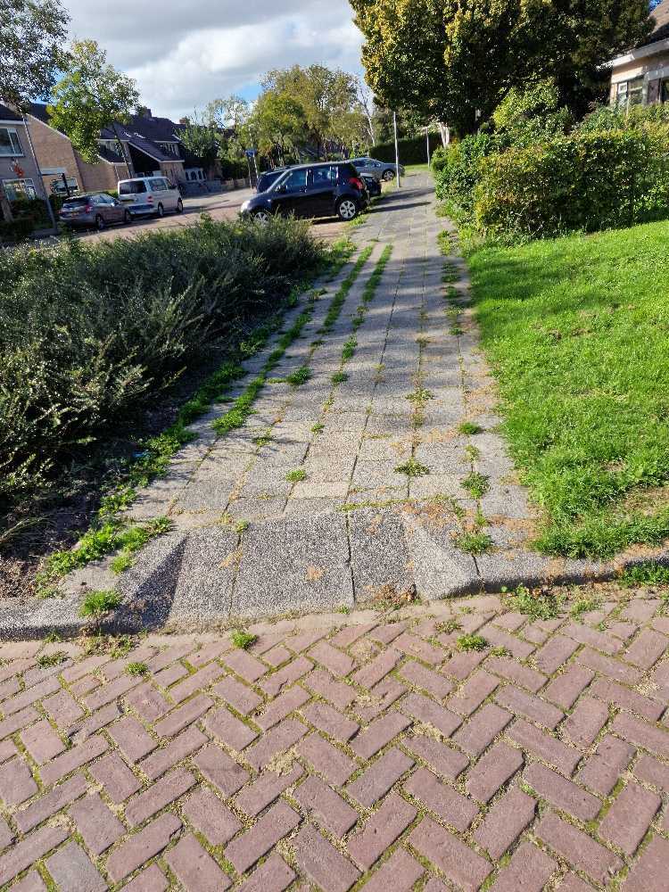 Foto bij melding 5602201 · Openbaar groen