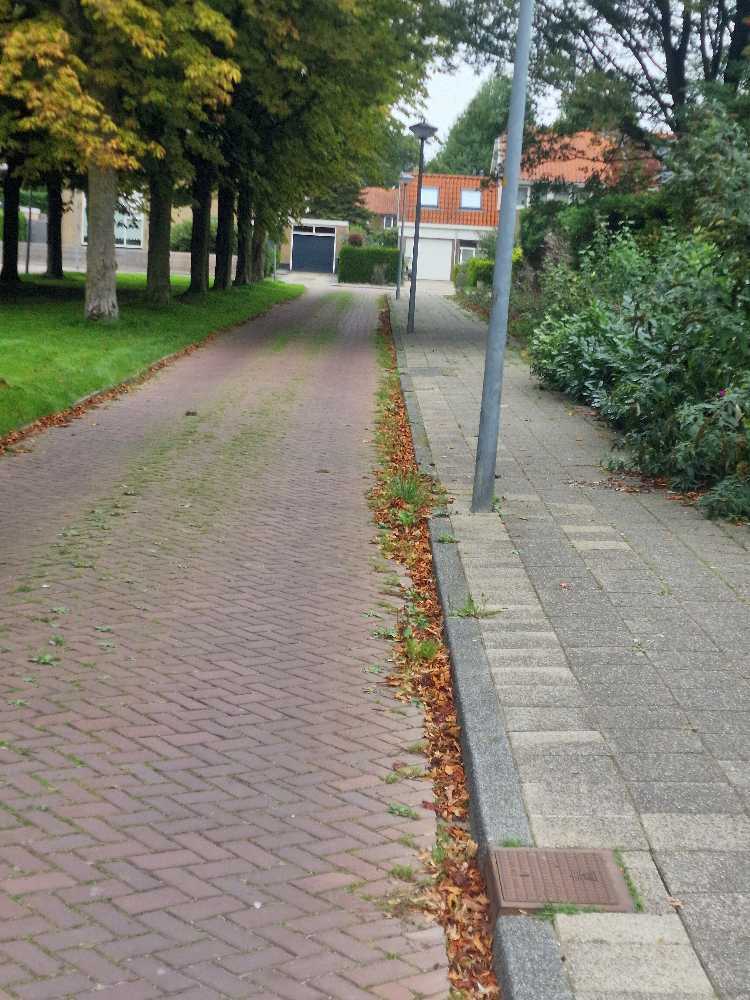 Foto bij melding 5606367 · Openbaar groen
