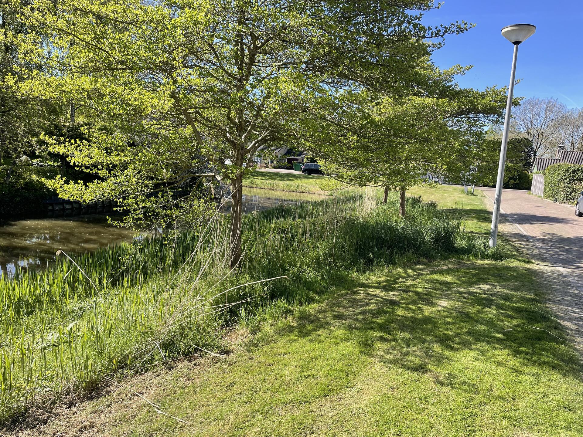 Foto bij melding 5058584 · Openbaar groen