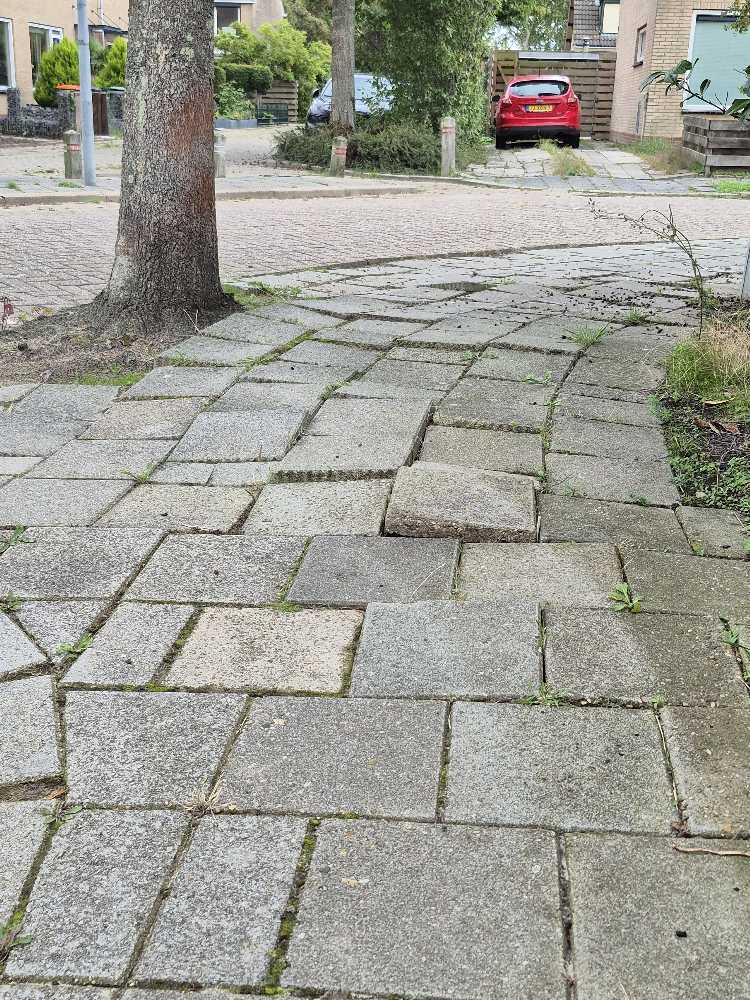 Foto bij melding 5576562 · Wegen, fietspaden, en stoepen