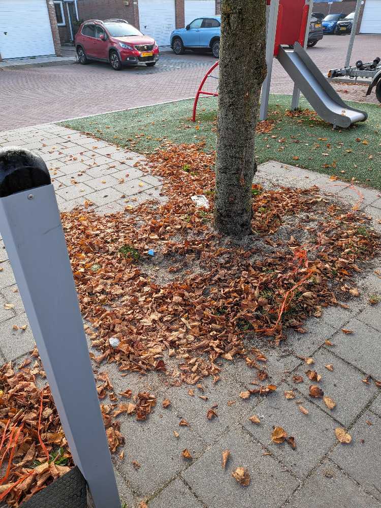 Foto bij melding 5664360 · Afval en zwerfvuil