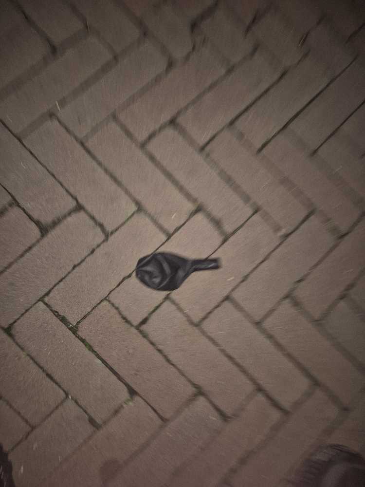 Foto bij melding 5687141 · Problemen en overlast in de buurt (boa/handhaving)