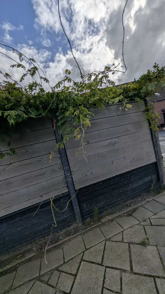 Foto bij melding 5560551 · Groenonderhoud