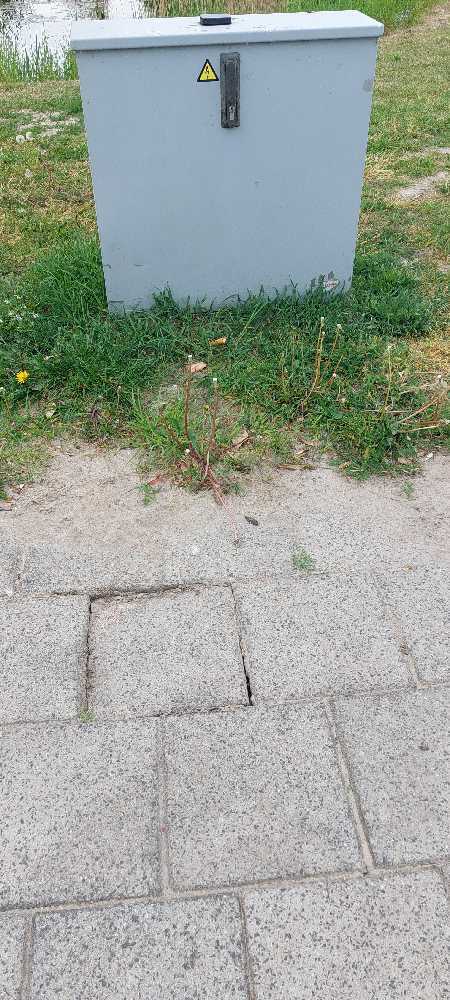Foto bij melding 5067331 · Wegen en paden