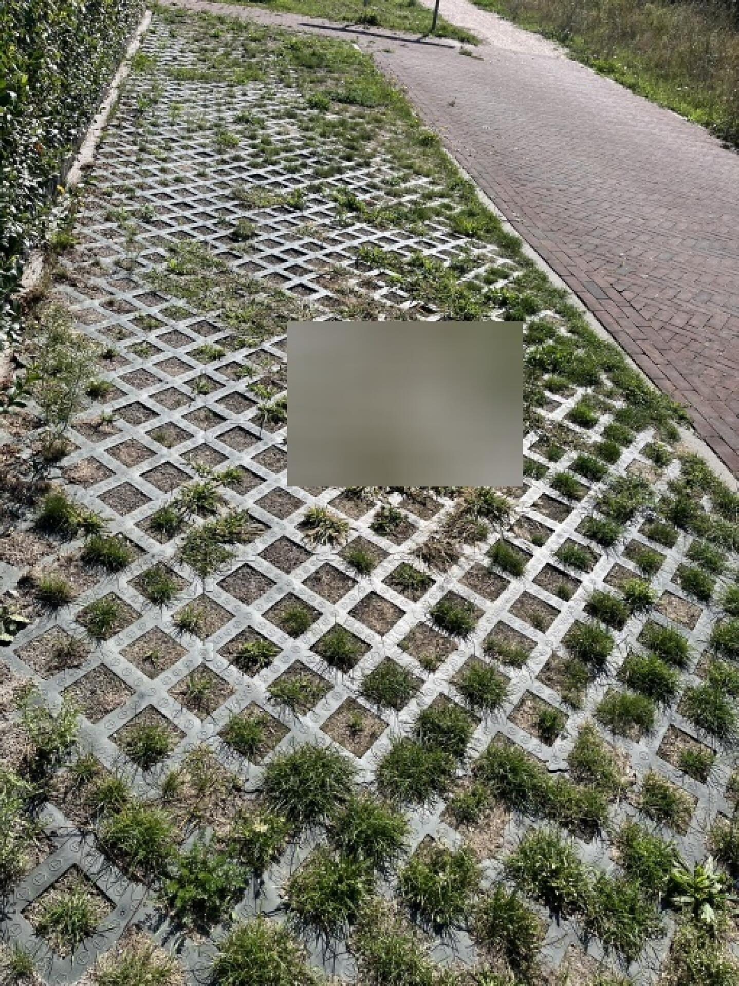 Foto bij melding 5507719 · Groenonderhoud