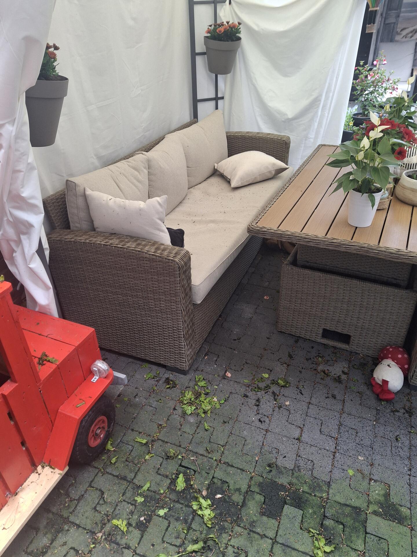 Foto bij melding 5105391 · Openbaar groen