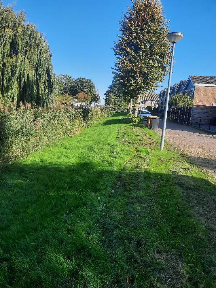 Foto bij melding 5707664 · Openbaar groen