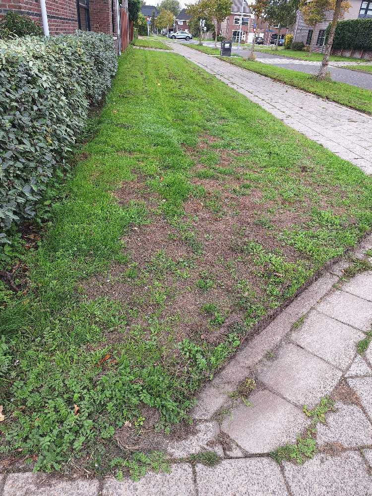 Foto bij melding 5593833 · Groenonderhoud