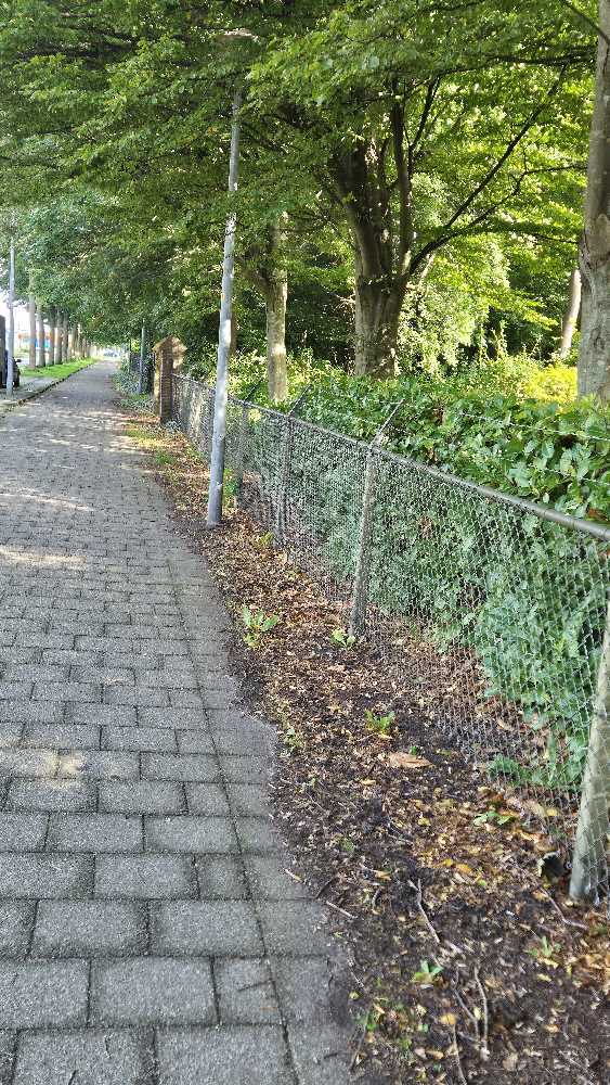 Foto bij melding 5688858 · Wegen, fietspaden, en stoepen