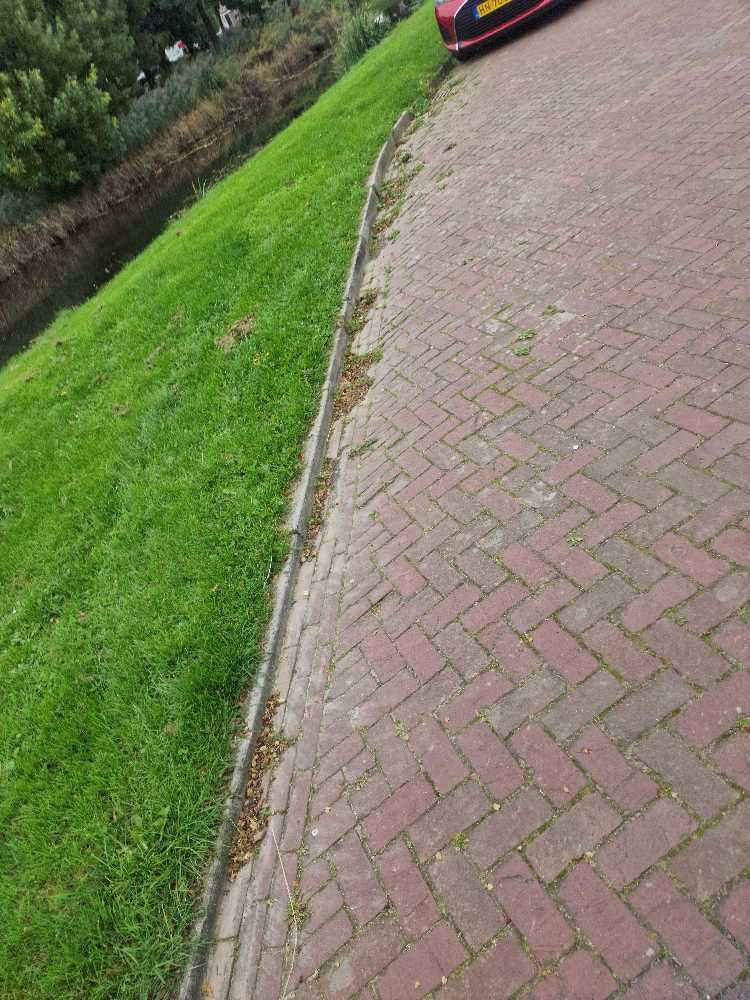 Foto bij melding 5606483 · Openbaar groen
