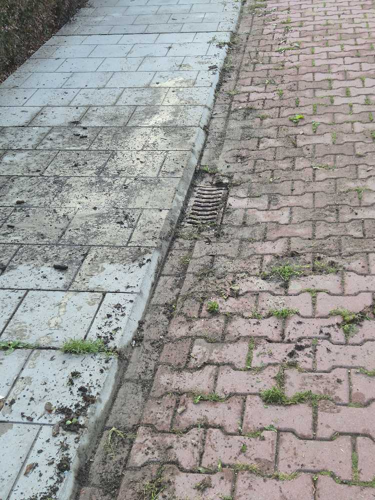 Foto bij melding 5525706 · Riolering