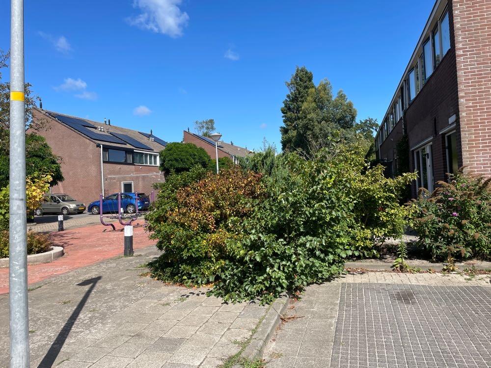 Foto bij melding 5493532 · Groenonderhoud
