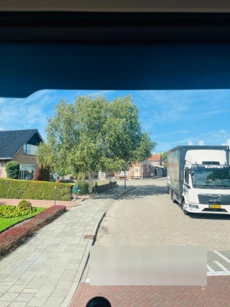 Foto bij melding 5547258 · Openbaar groen