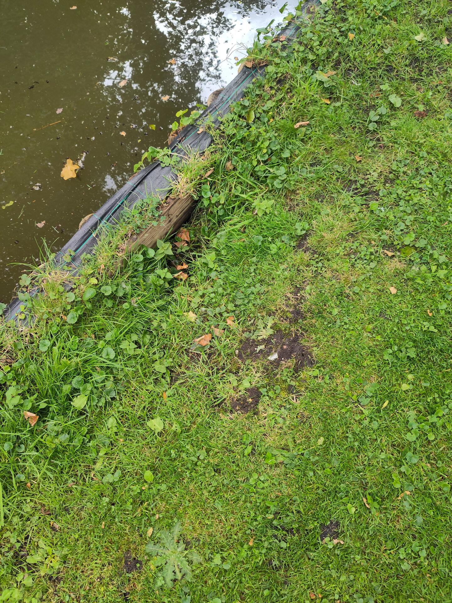 Foto bij melding 5602727 · Bruggen, tunnels en water