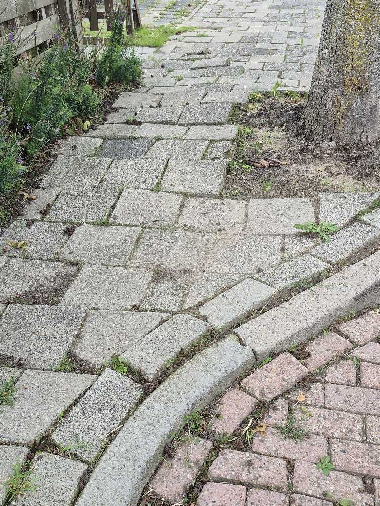Foto bij melding 5576562 · Wegen, fietspaden, en stoepen