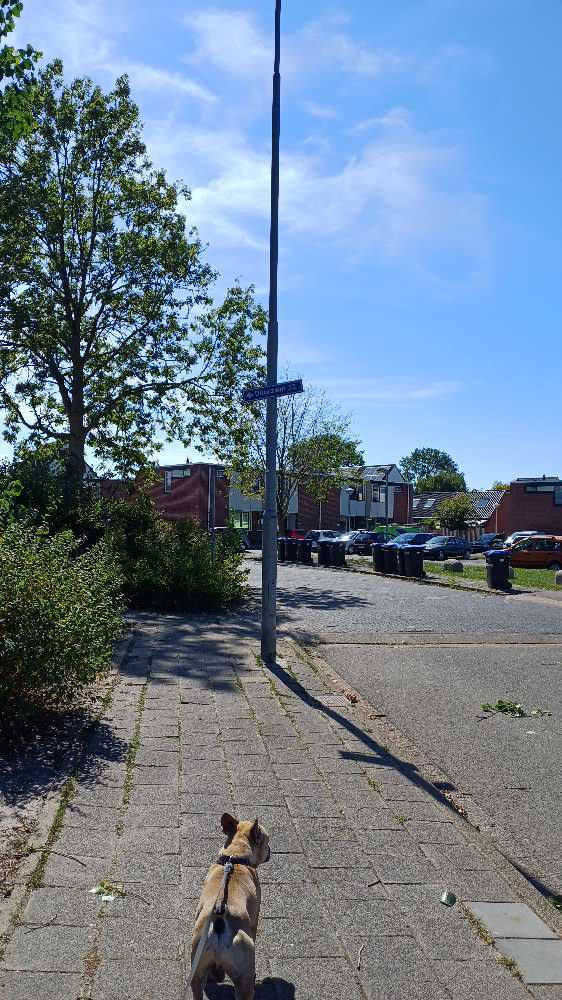 Foto bij melding 5504654 · Wegen en paden