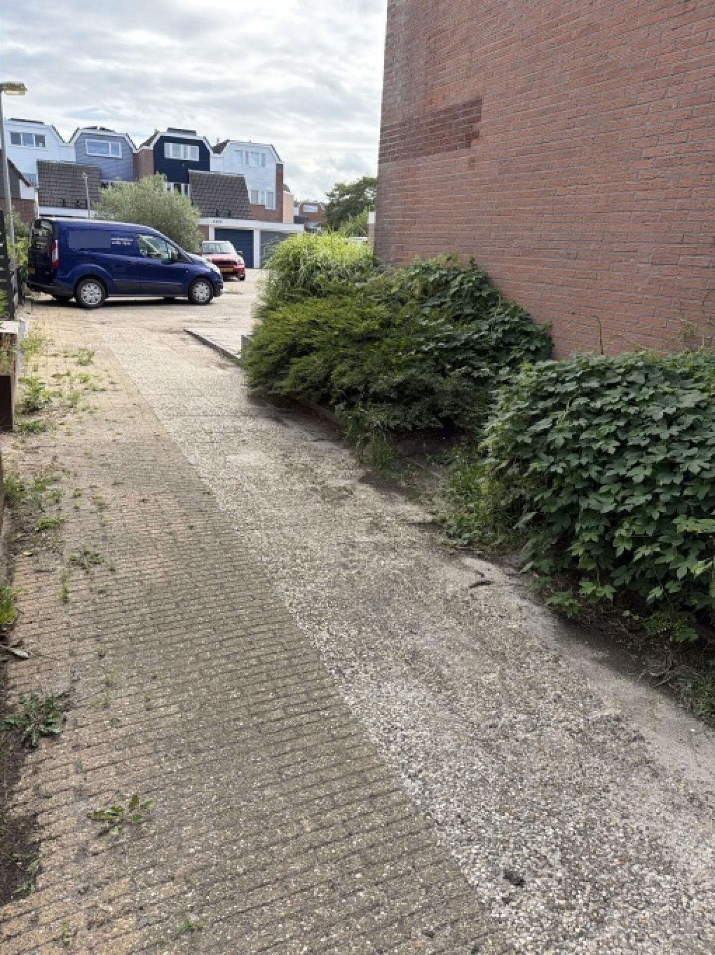 Foto bij melding 5535327 · Groenonderhoud