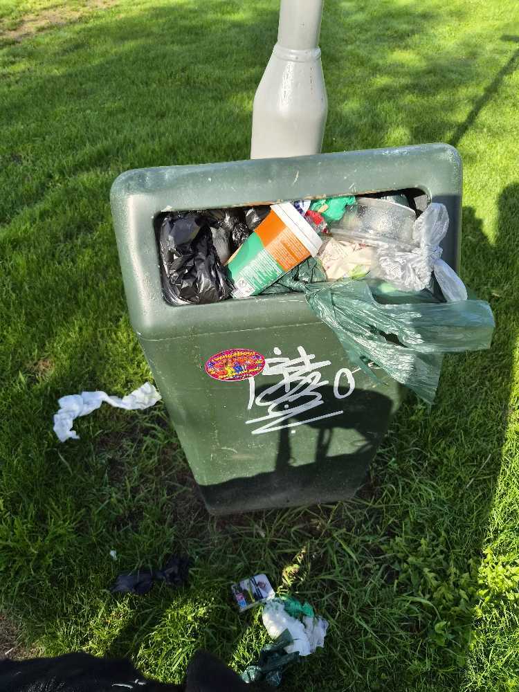 Foto bij melding 5646310 · Afval/Hondenpoep/Ongedierte/Dode dieren