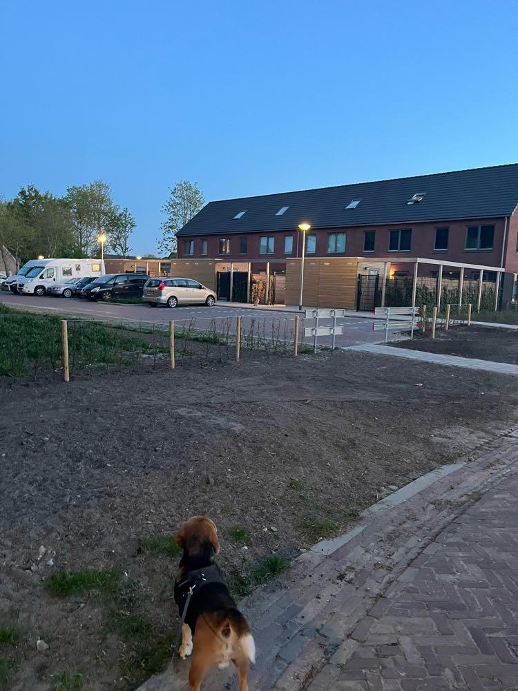 Foto bij melding 5064320 · Openbaar groen