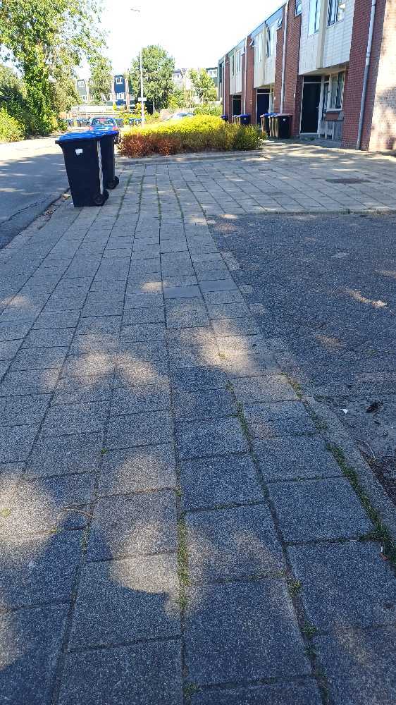 Foto bij melding 5504654 · Wegen en paden