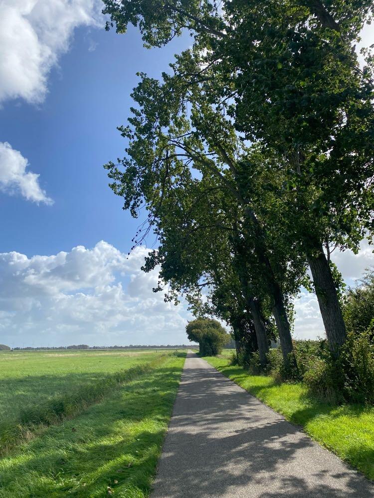 Foto bij melding 5597192 · Openbaar groen