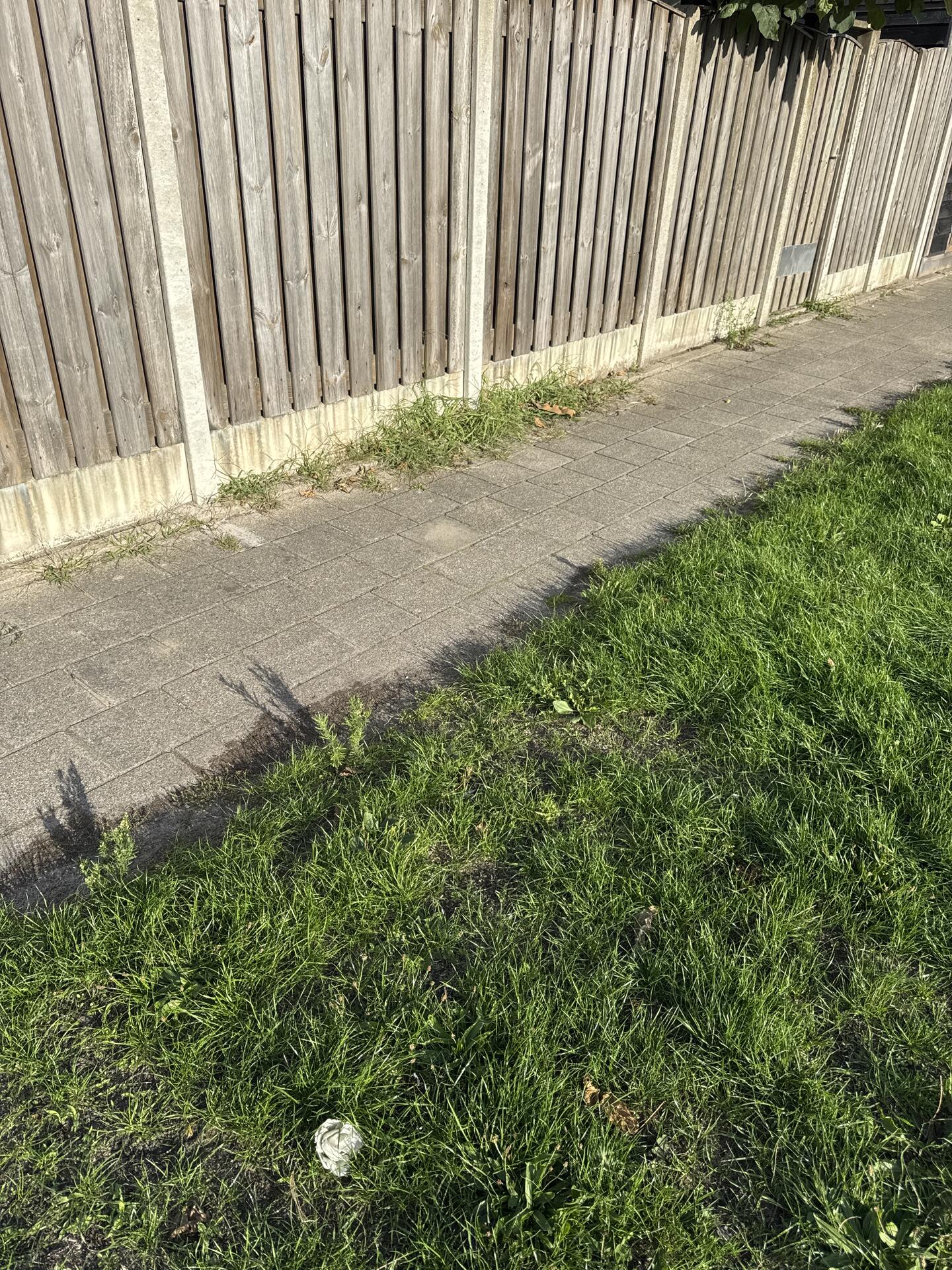 Foto bij melding 5549042 · Groenonderhoud
