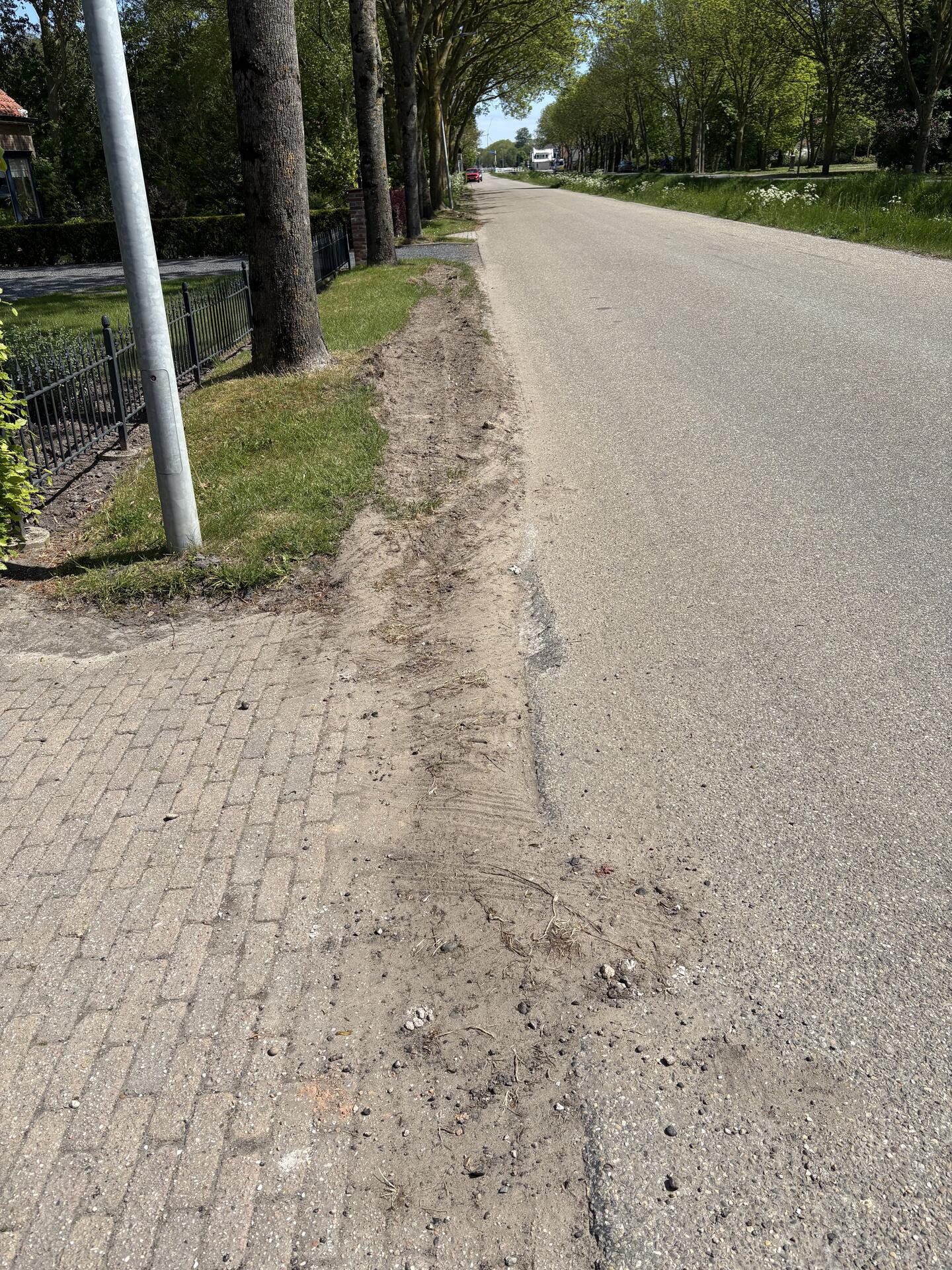 Foto bij melding 5076806 · Openbaar groen