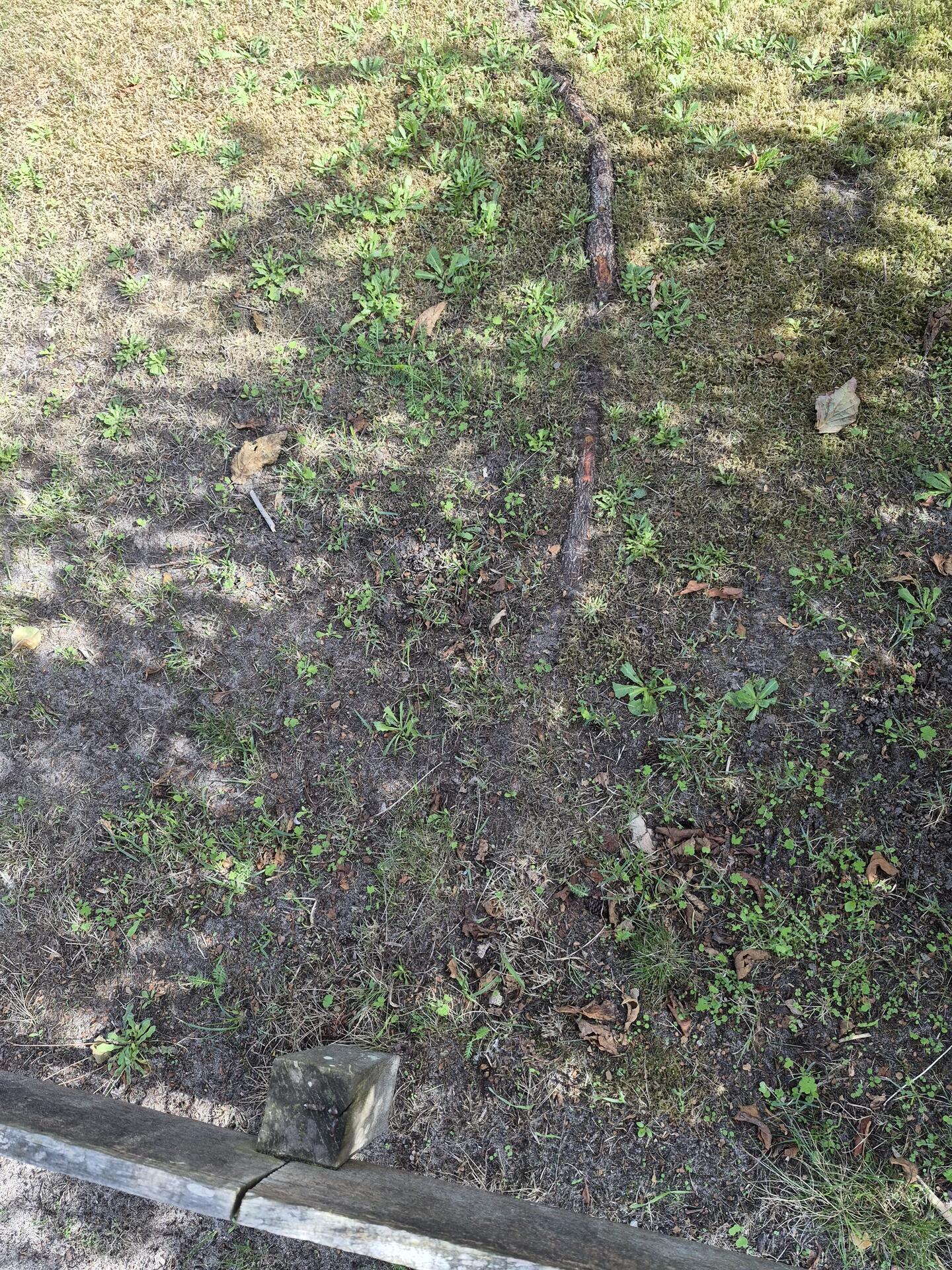 Foto bij melding 5551446 · Wegen en paden