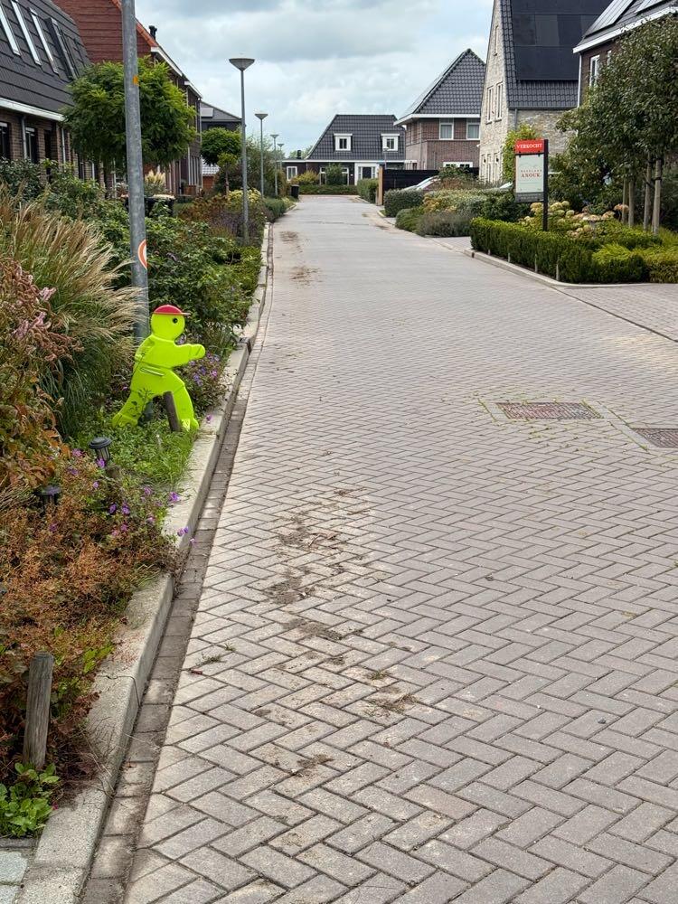 Foto bij melding 5586314 · Openbaar groen