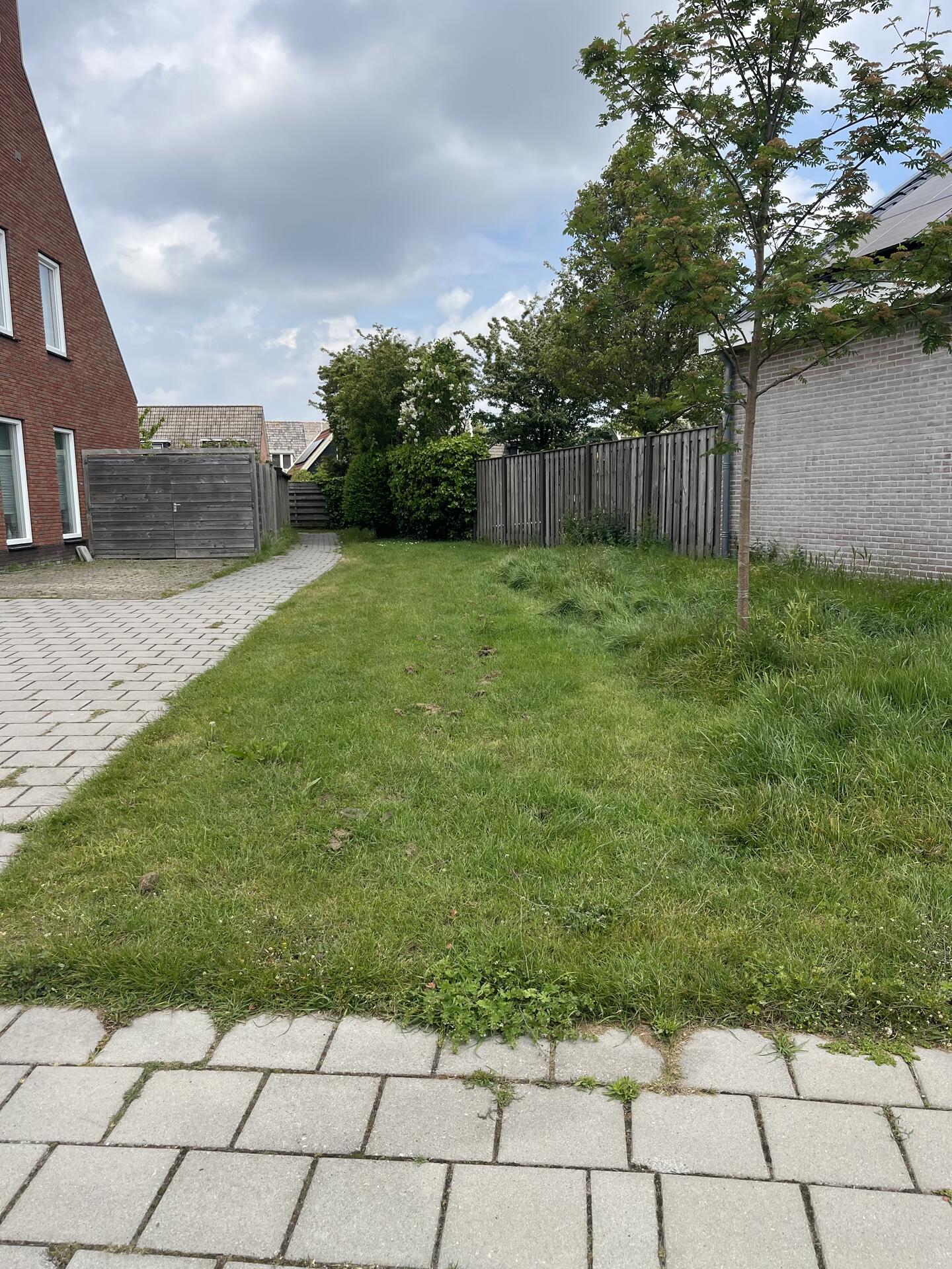 Foto bij melding 5116232 · Openbaar groen