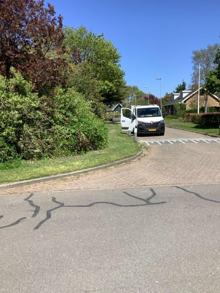Foto bij melding 5059109 · Groenonderhoud