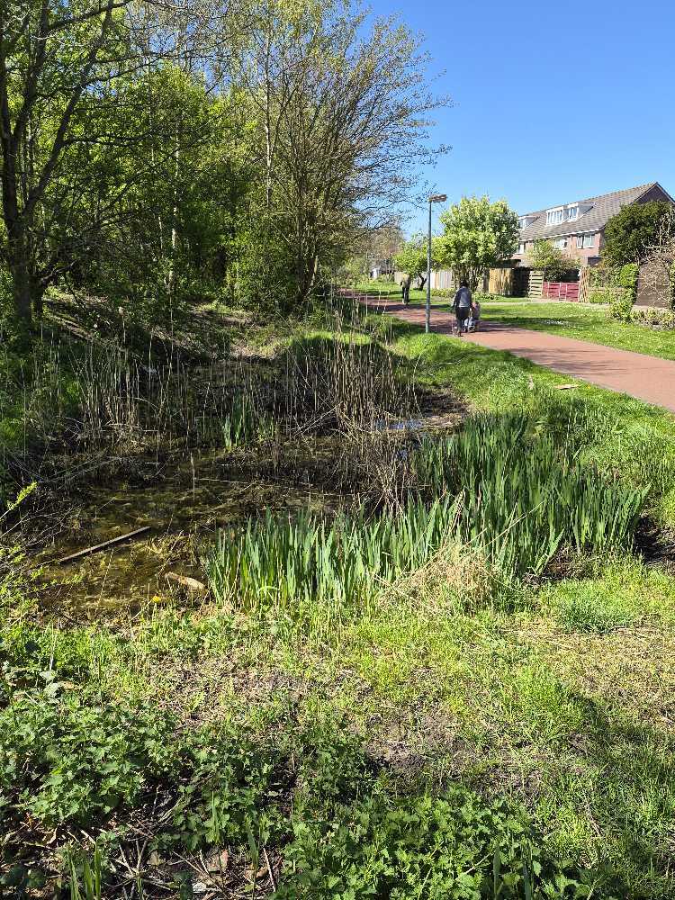 Foto bij melding 5032029 · Afval en zwerfvuil