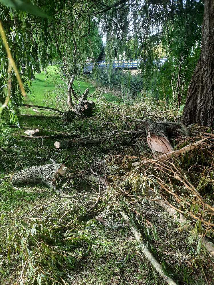 Foto bij melding 5570450 · Openbaar groen