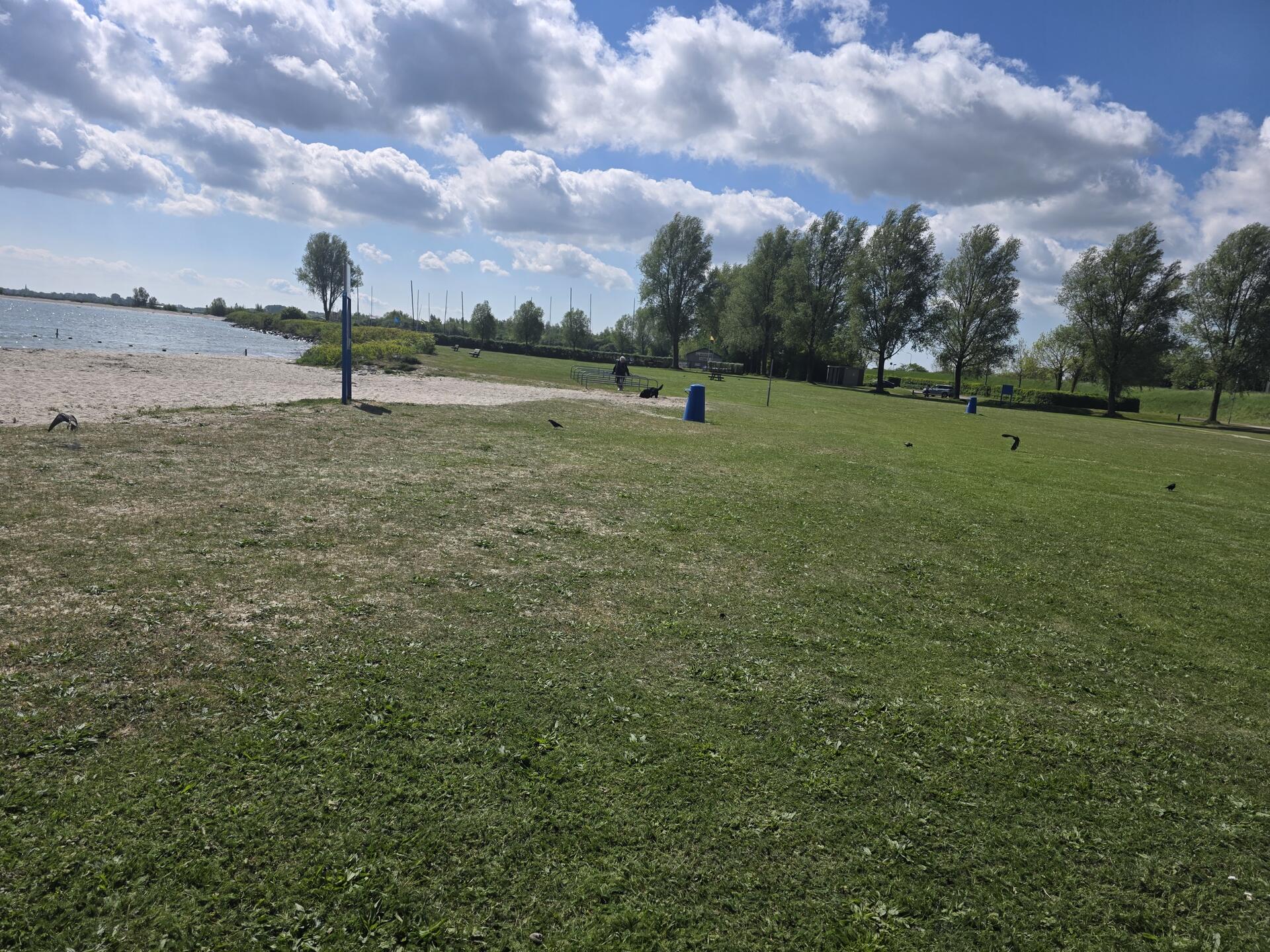 Foto bij melding 5089522 · Honden overlast