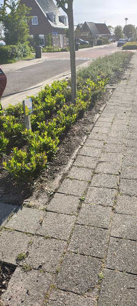 Foto bij melding 5117951 · Wegen, fietspaden, en stoepen