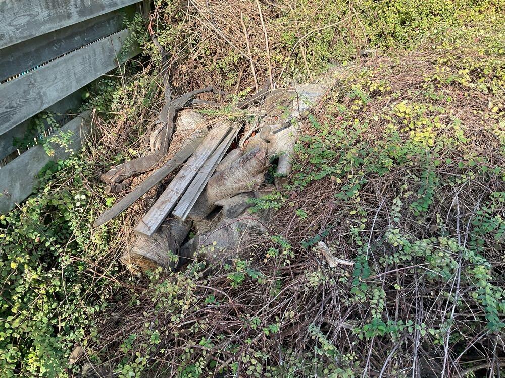Foto bij melding 5661686 · Groenonderhoud