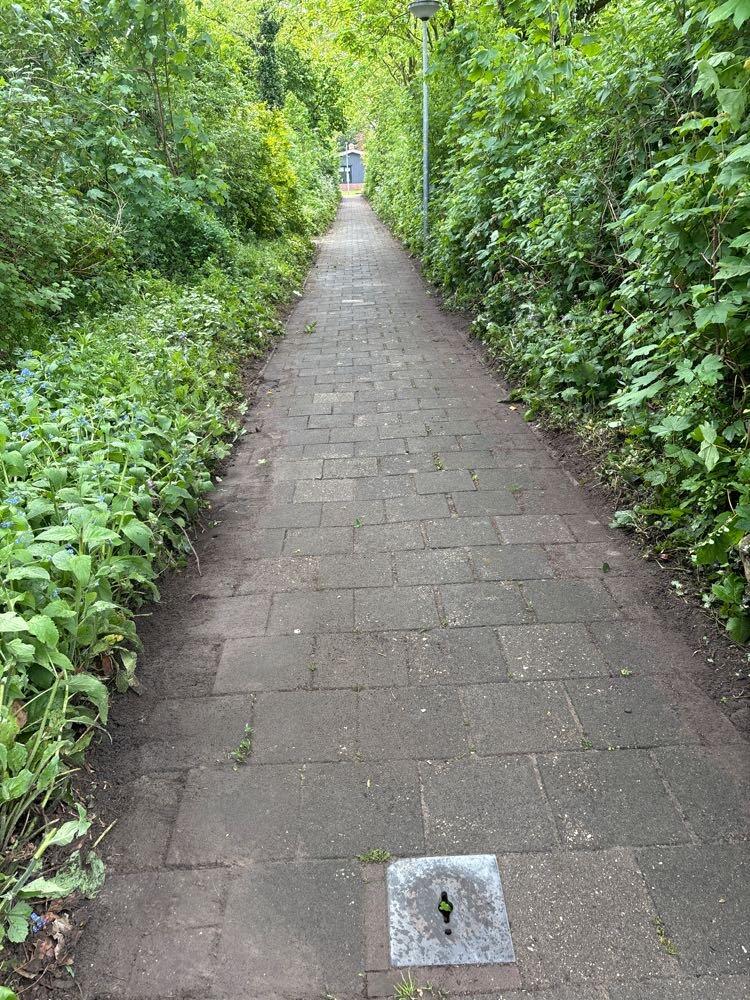Foto bij melding 5099725 · Openbaar groen
