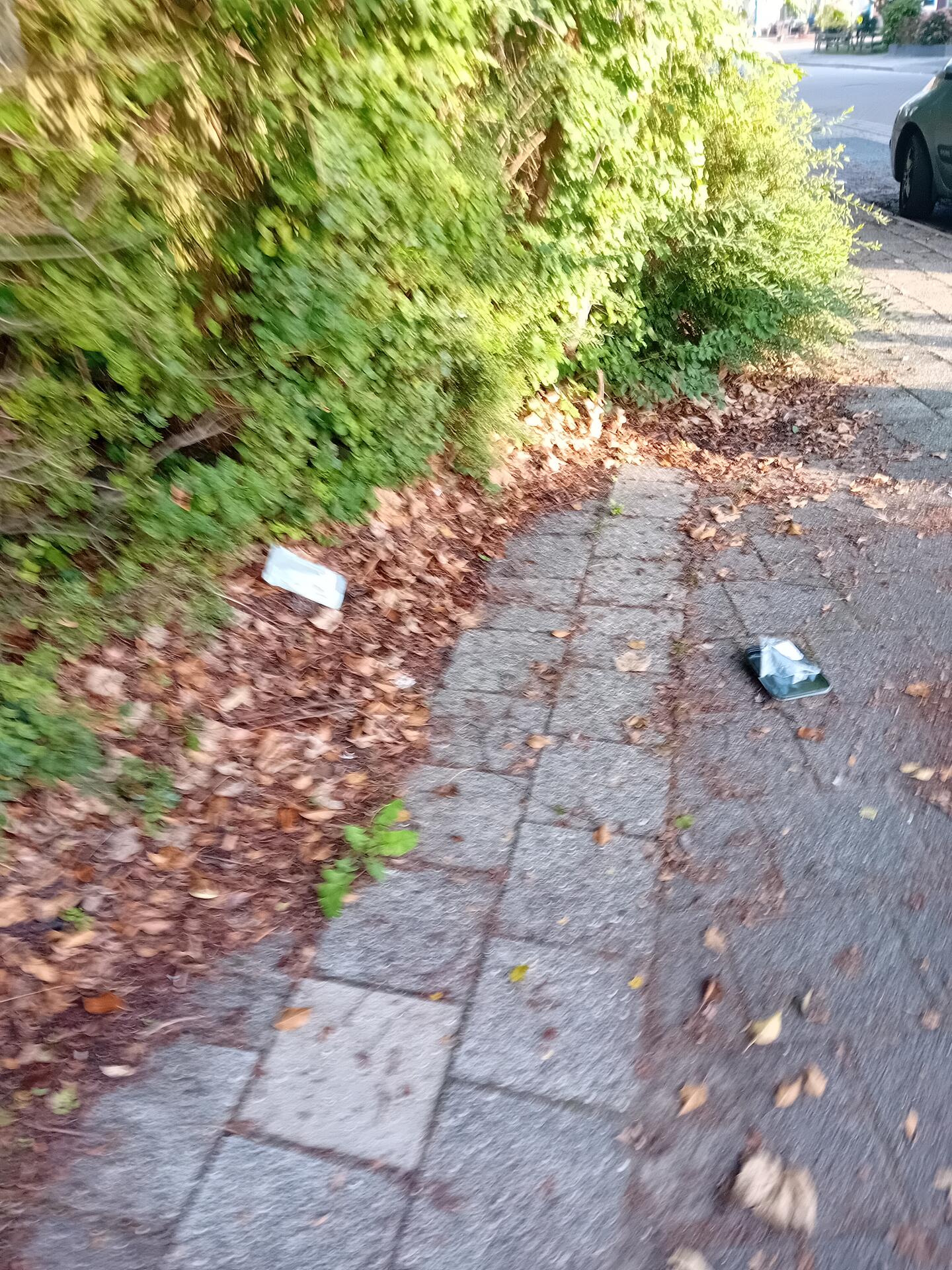 Foto bij melding 5573297 · Afval