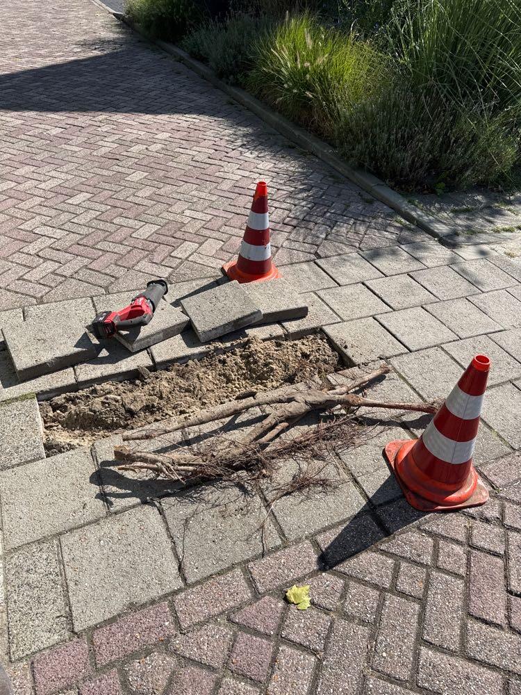 Foto bij melding 5498700 · Wegen, fietspaden, en stoepen