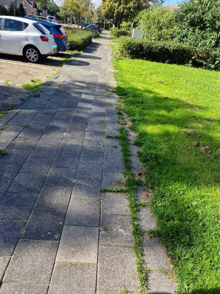 Foto bij melding 5602201 · Openbaar groen