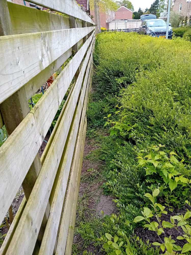 Foto bij melding 5048525 · Groen en bomen