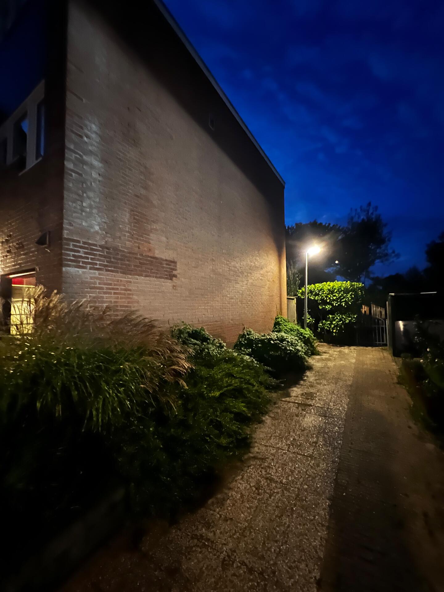 Foto bij melding 5677892 · Groenonderhoud