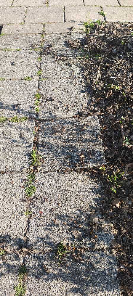 Foto bij melding 5117951 · Wegen, fietspaden, en stoepen