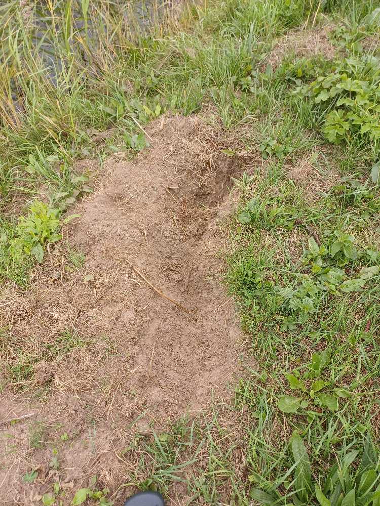 Foto bij melding 5554685 · Wegen, fietspaden, en stoepen