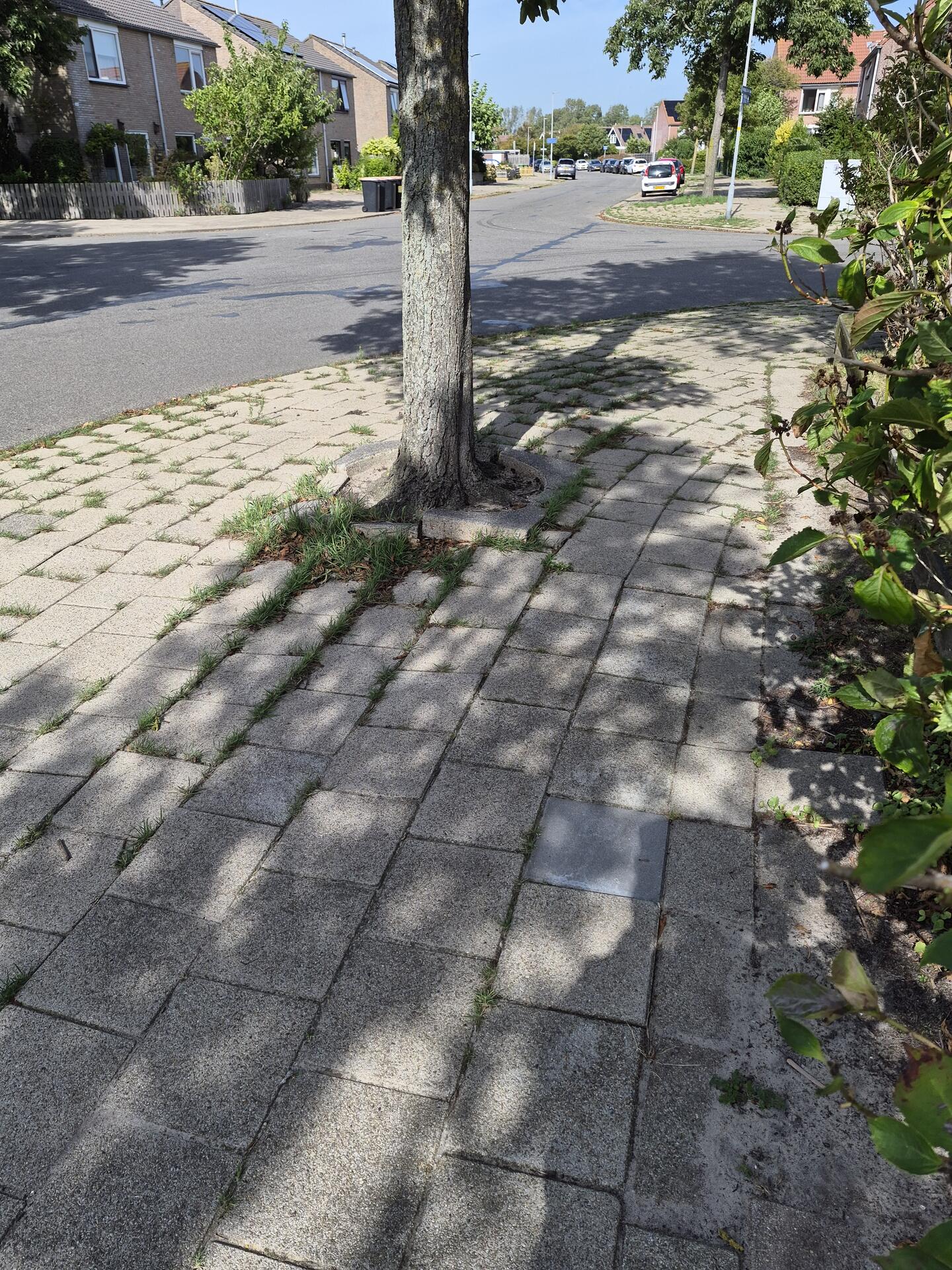 Foto bij melding 5551446 · Wegen en paden