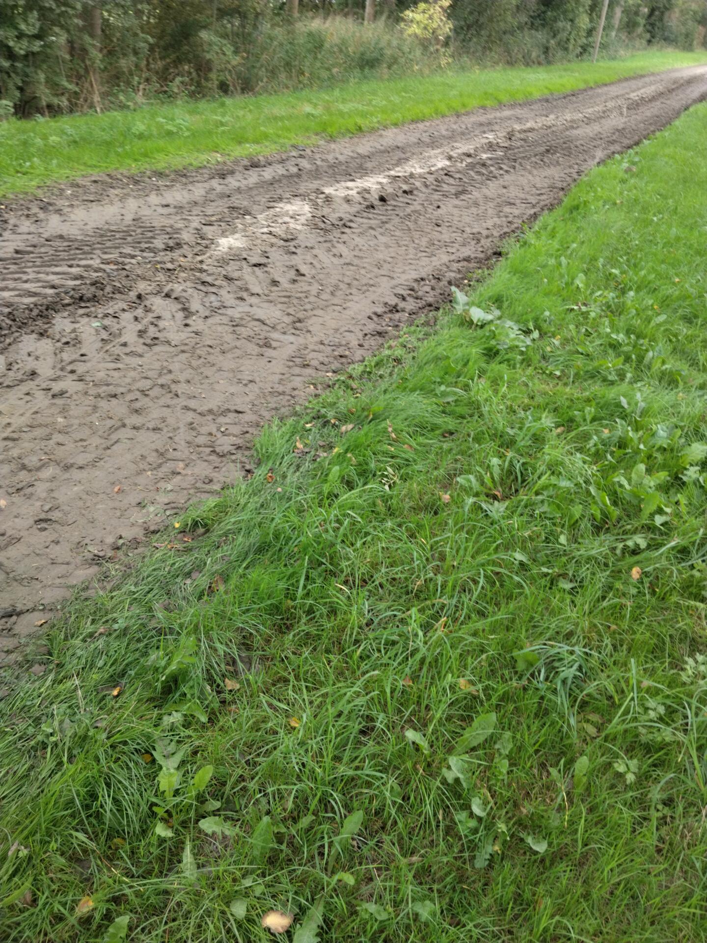 Foto bij melding 5613623 · Wegen, fietspaden, en stoepen