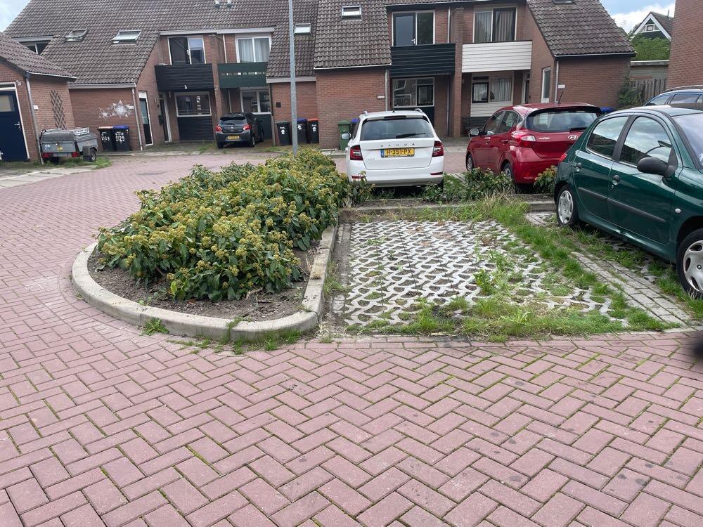 Foto bij melding 5575077 · Groenonderhoud