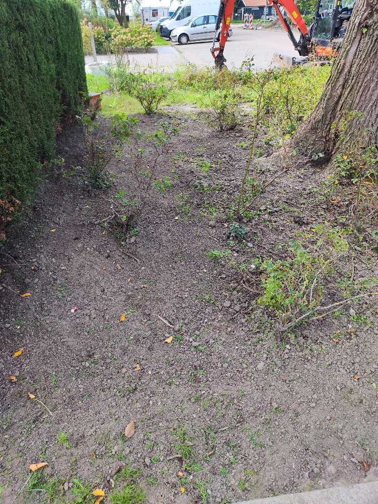 Foto bij melding 5636741 · Openbaar groen